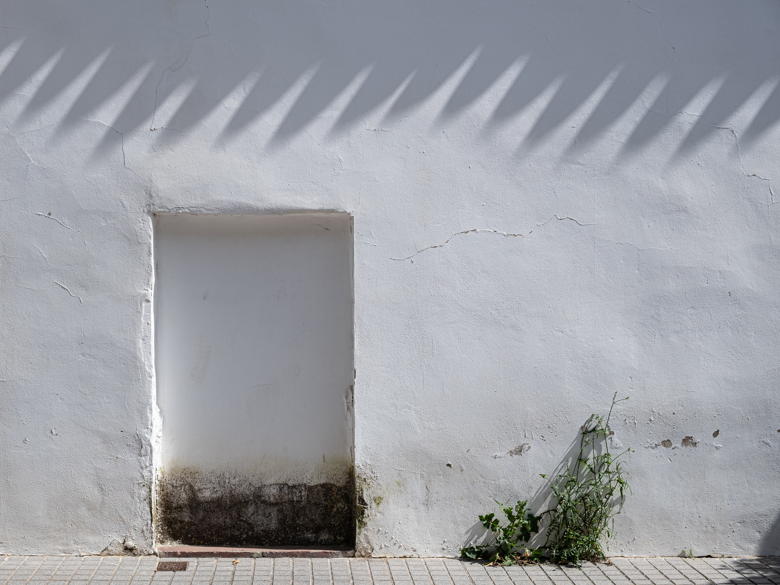 Weiße Hauswand mit zugemauertem Durchgang – Schattenwurf einer Palme
